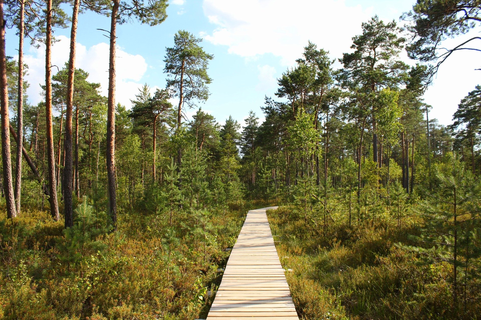 Mūšos Tyrelis Educational Trail